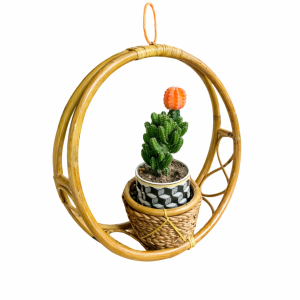 Bamboo Hanging Planter