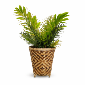 Bamboo Planter