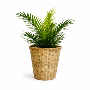 Simple Bamboo Planter